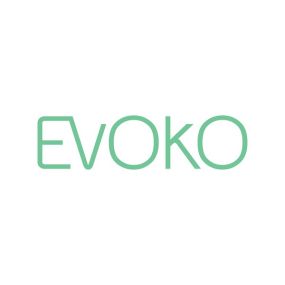 Evoko Liso Power Adapter