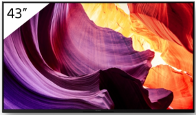 Sony FWD-43X80K 43"  Monitor