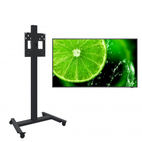 NEC Multisync E558 55" + Trolley bundel
