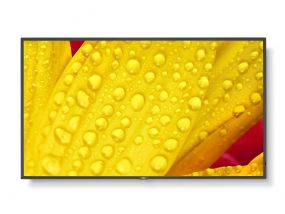 NEC MultiSync ME651 65" Monitor